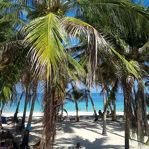 Apartment Zippy's Sea View, San Andres (San Andres and Providencia Islands)